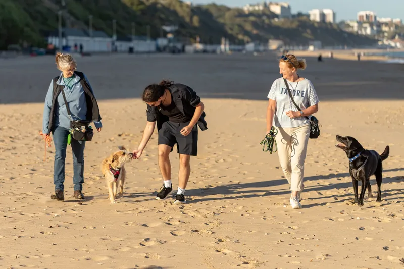 Dorset Dog Trainer – Branksome Chine