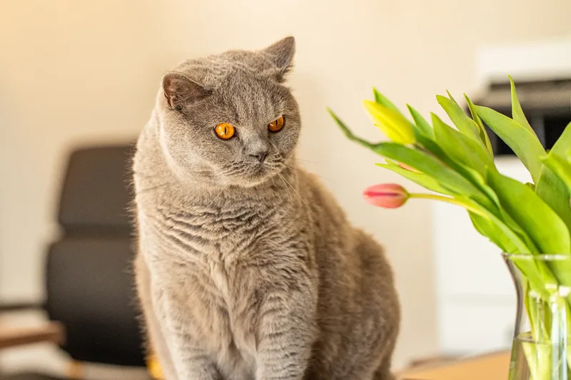 A Spring Refresh with Southern & West Lettings (21 of 24)