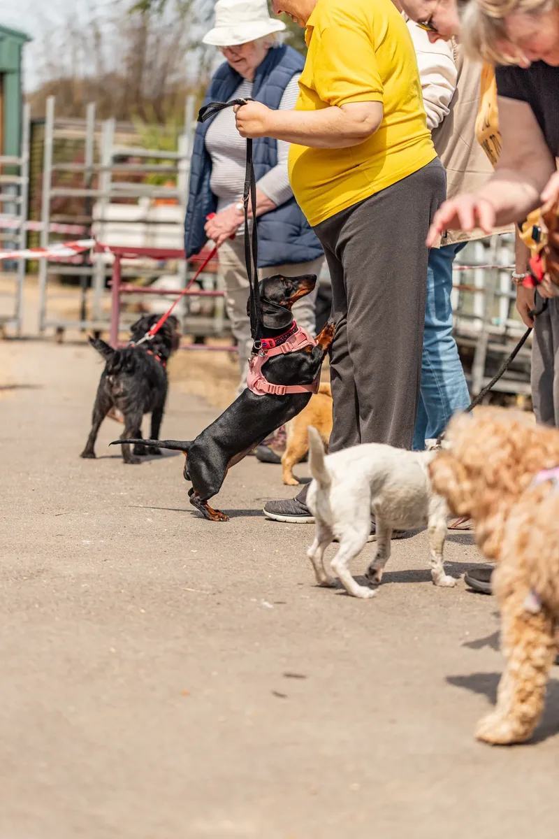 Sunshine, Smiles & Wagging Tails at Cherry Tree Nurseries (10 of 24)