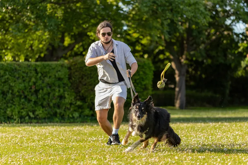 Dorset Dog Trainer – Poole Park (7 of 59)