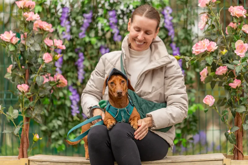 Muttley’s Doggy Day Care – Open Day Fun! 🐾 (2 of 24)