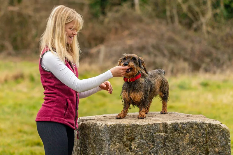 Wimborne Walkies (13 of 24)
