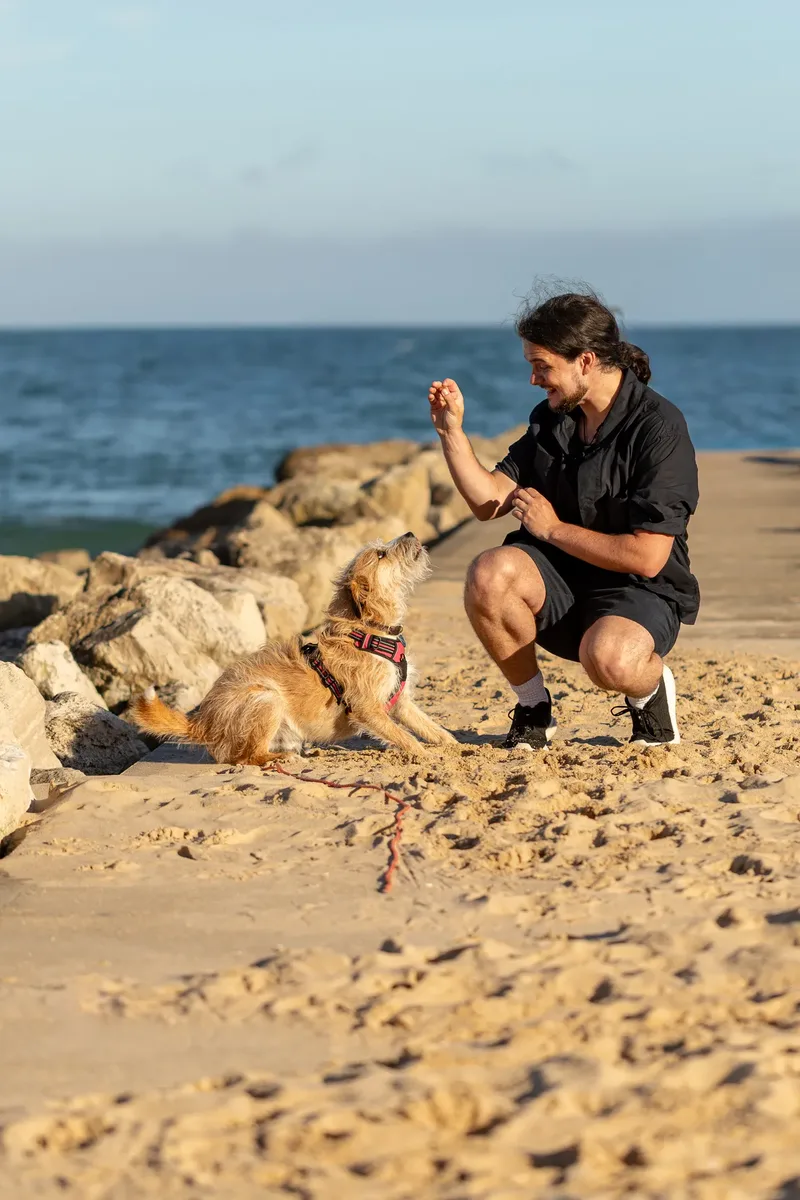 Dorset Dog Trainer – Branksome Chine (40 of 52)