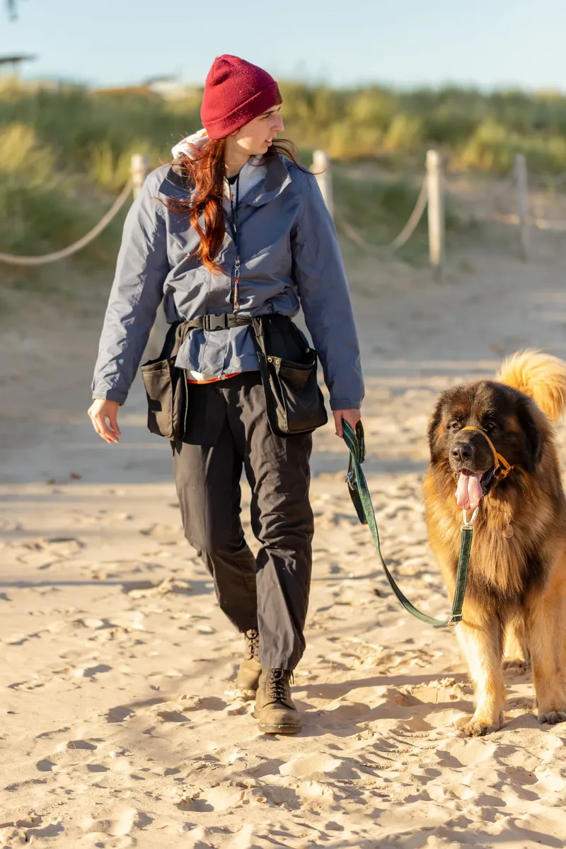Leonberger Meet Up (1 of 47)