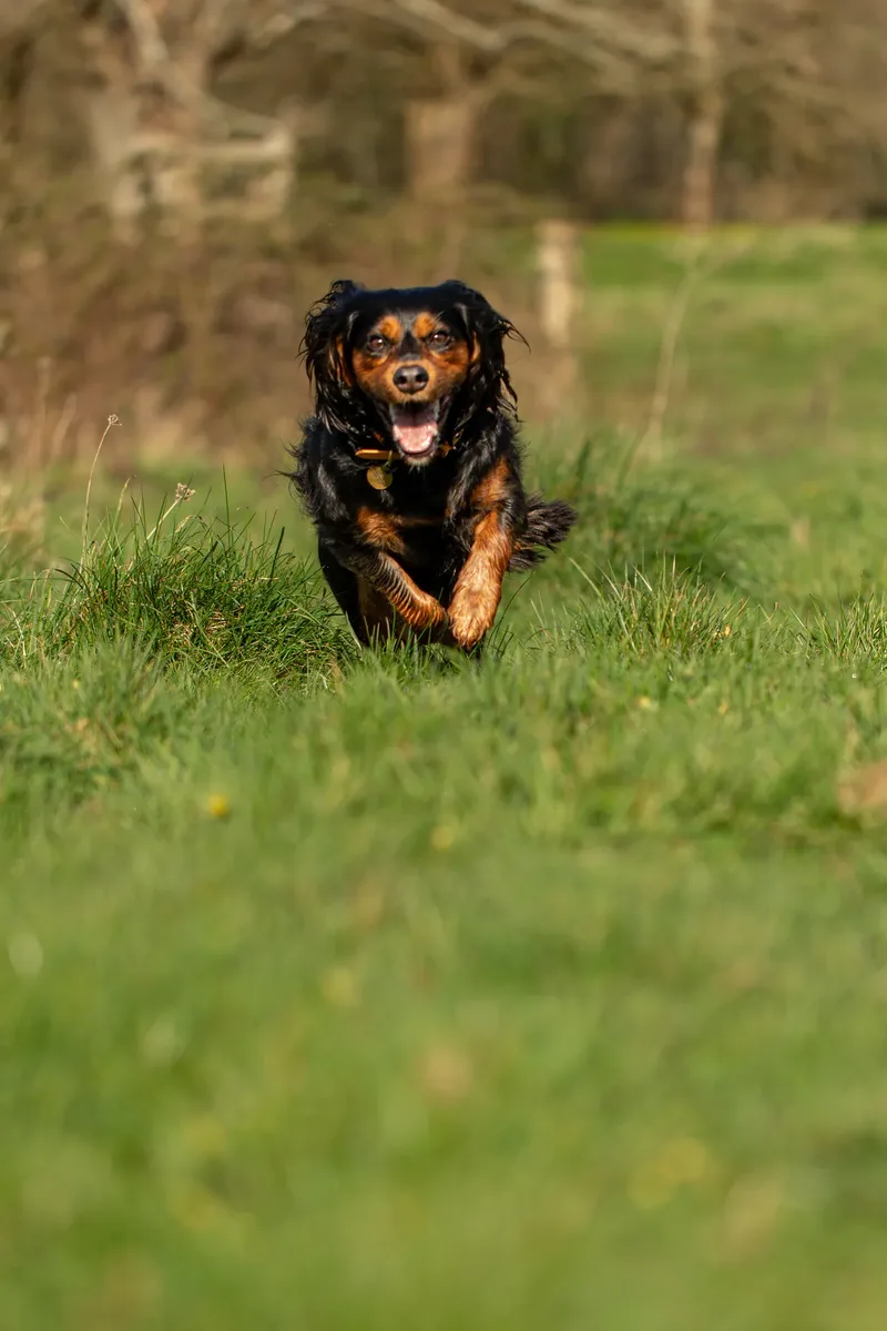 Maya (23 of 29)