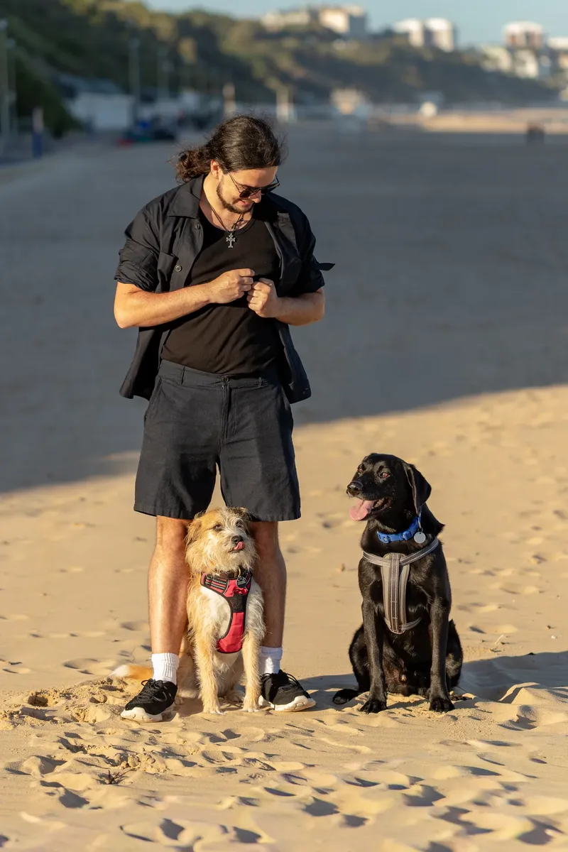 Dorset Dog Trainer – Branksome Chine (47 of 52)