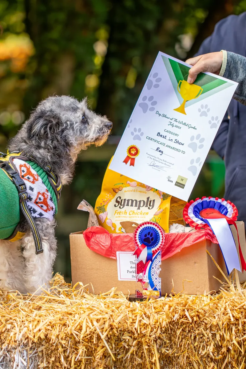The Walled Garden Moreton – Dog show ceremony (19 of 24)