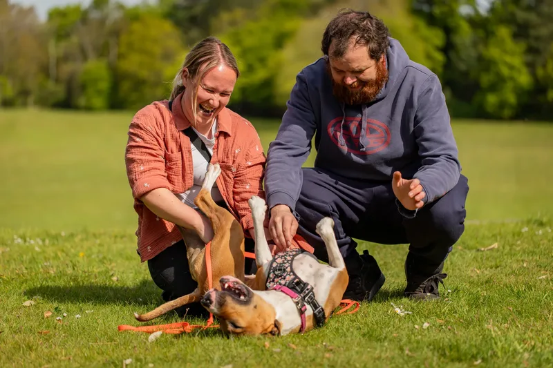 The Dorset Dog Trainer (39 of 42)