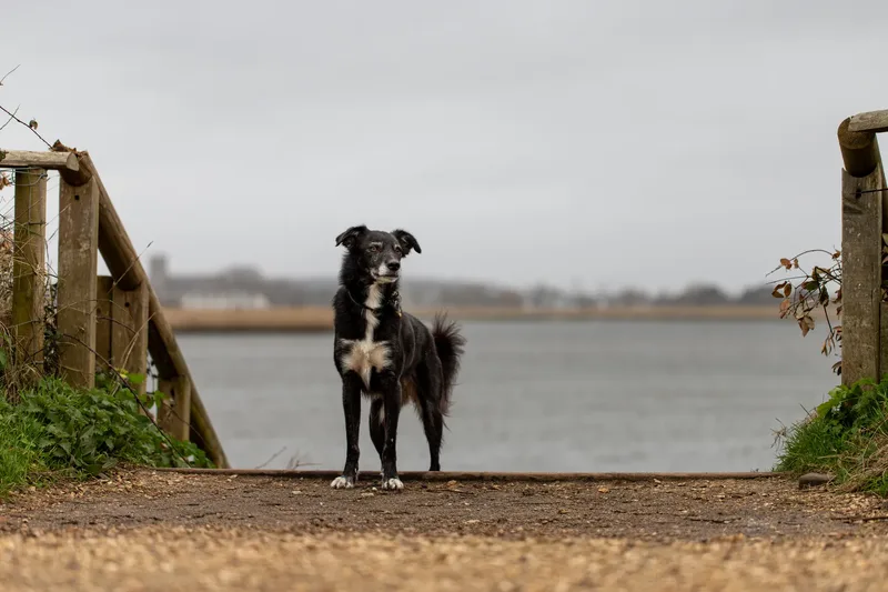 Olive (14 of 43)