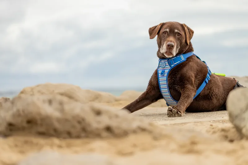 Spring Beach Mini Sessions (64 of 105)
