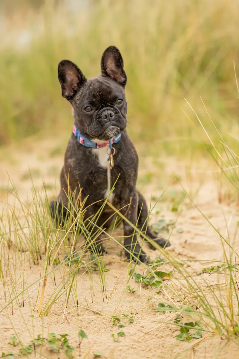 Spring Beach Mini Sessions (71 of 105)
