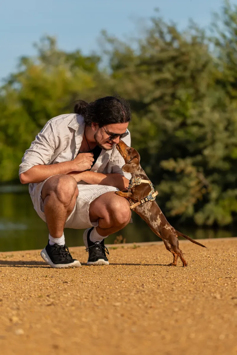 Dorset Dog Trainer – Poole Park (11 of 59)
