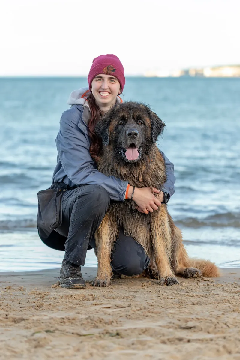 Leonberger Meet Up (19 of 47)