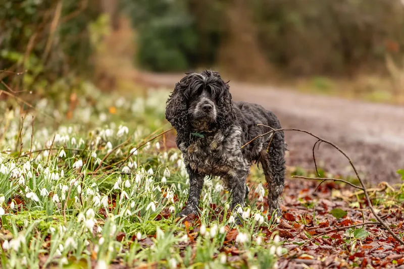 Max, Alfie & Friends (6 of 22)