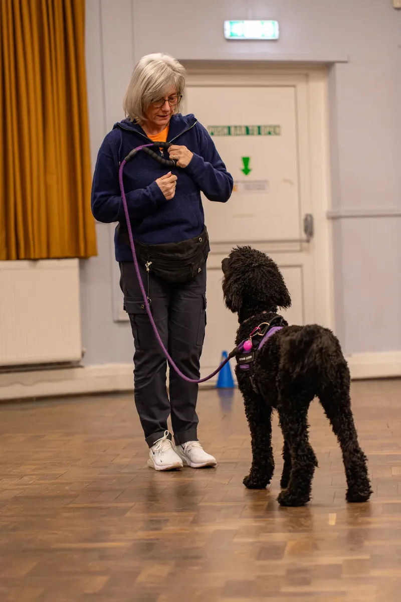 Kirsty’s Paws (16 of 44)