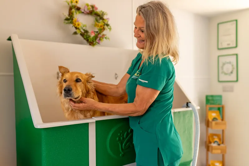 Eden Beau Dog Grooming Boutique (17 of 24)