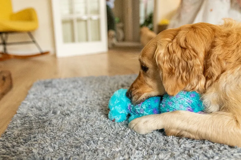 Marlee and her puppies! (21 of 24)