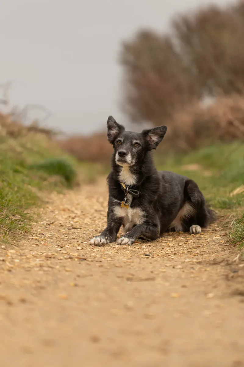 Olive (24 of 43)