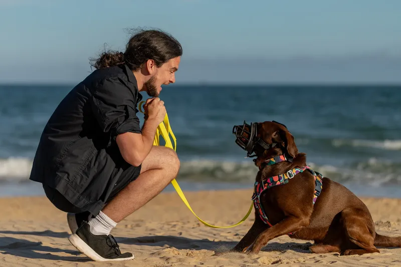 Dorset Dog Trainer – Branksome Chine (25 of 52)