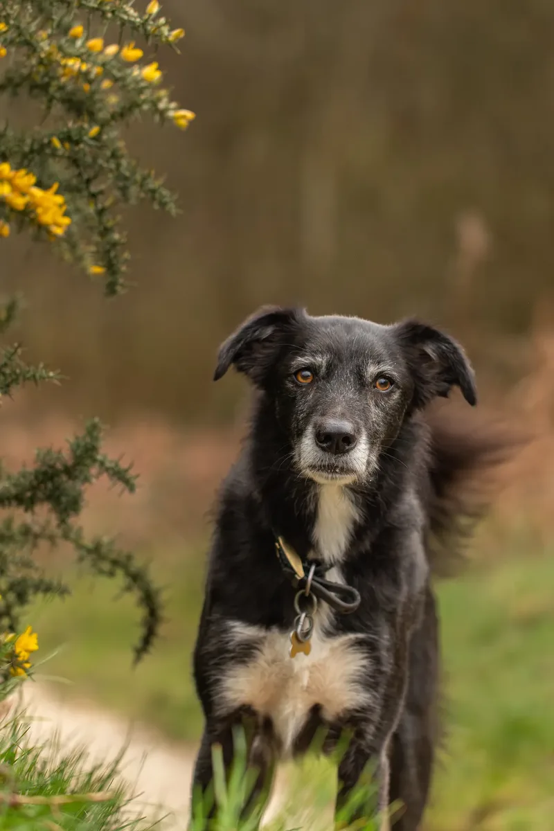 Olive (5 of 43)