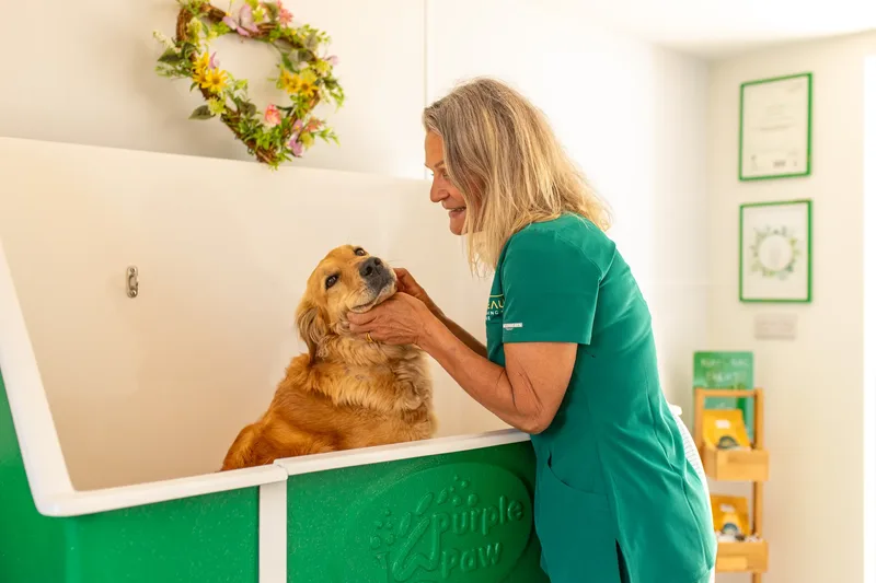Eden Beau Dog Grooming Boutique (18 of 24)