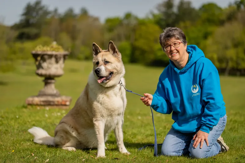 The Dorset Dog Trainer (37 of 42)
