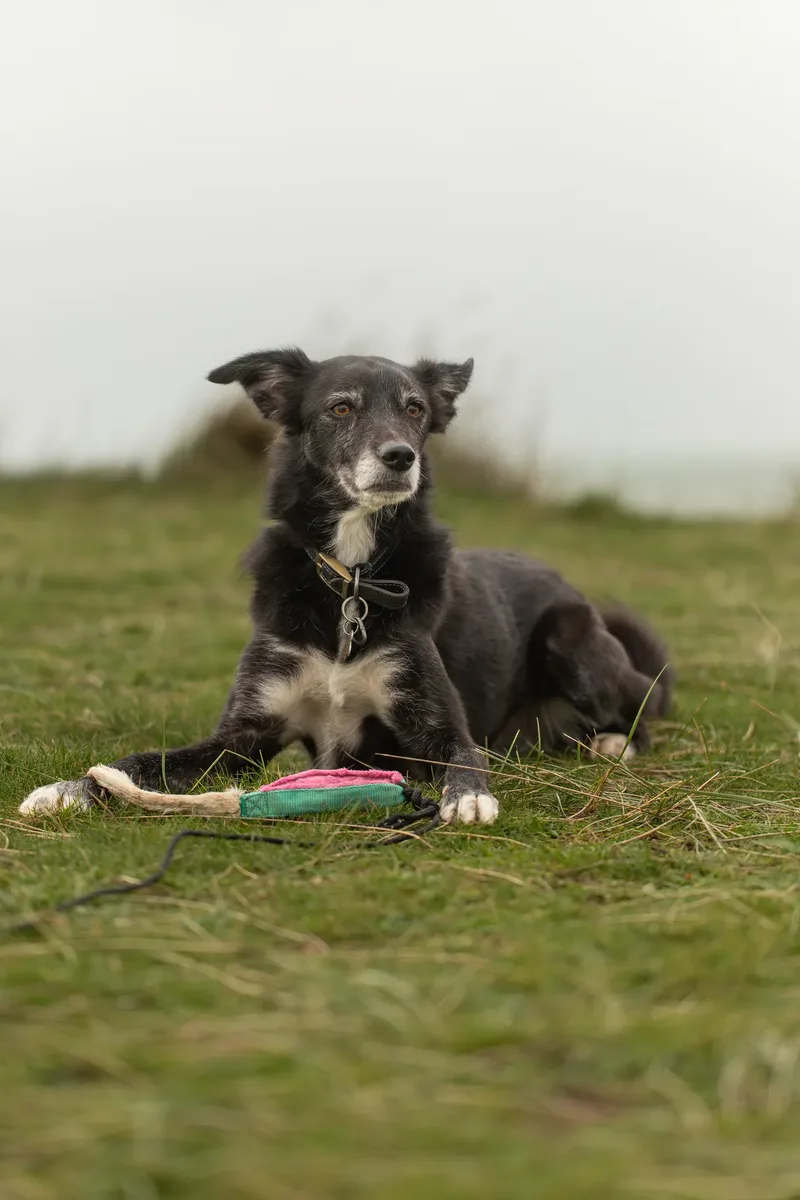 Olive (26 of 43)