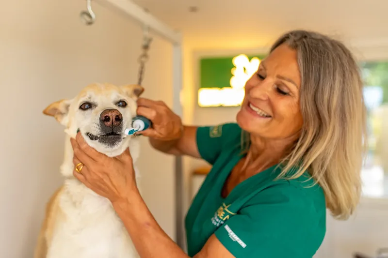 Eden Beau Dog Grooming Boutique (20 of 24)