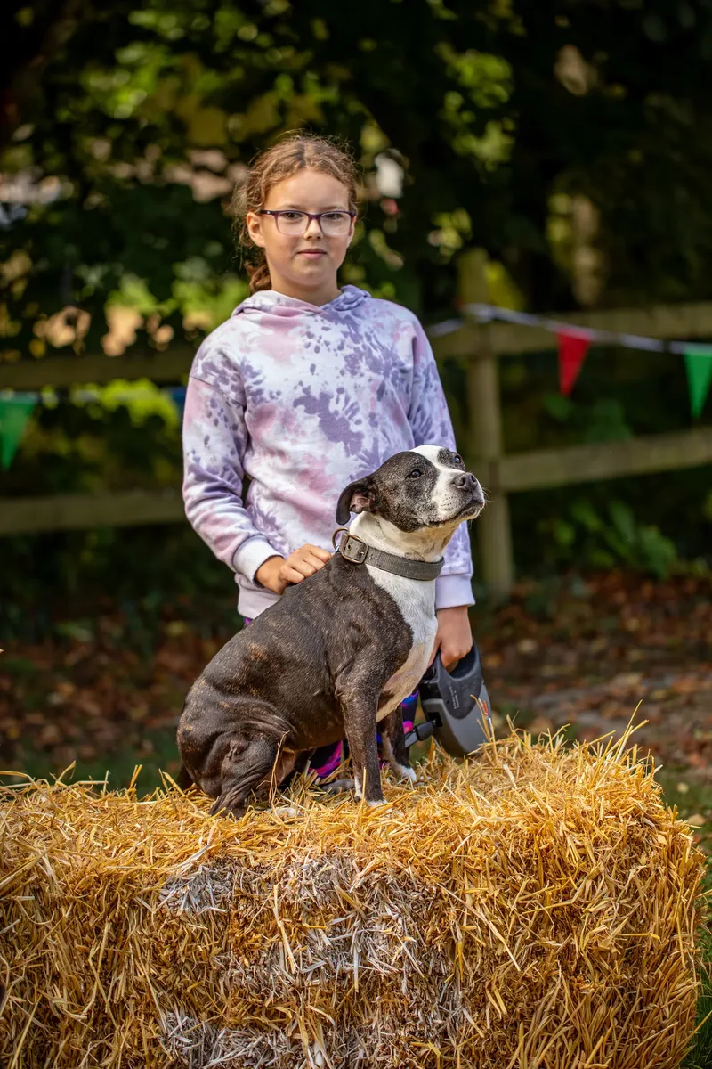 The Walled Garden Moreton – Dog show ceremony (21 of 24)