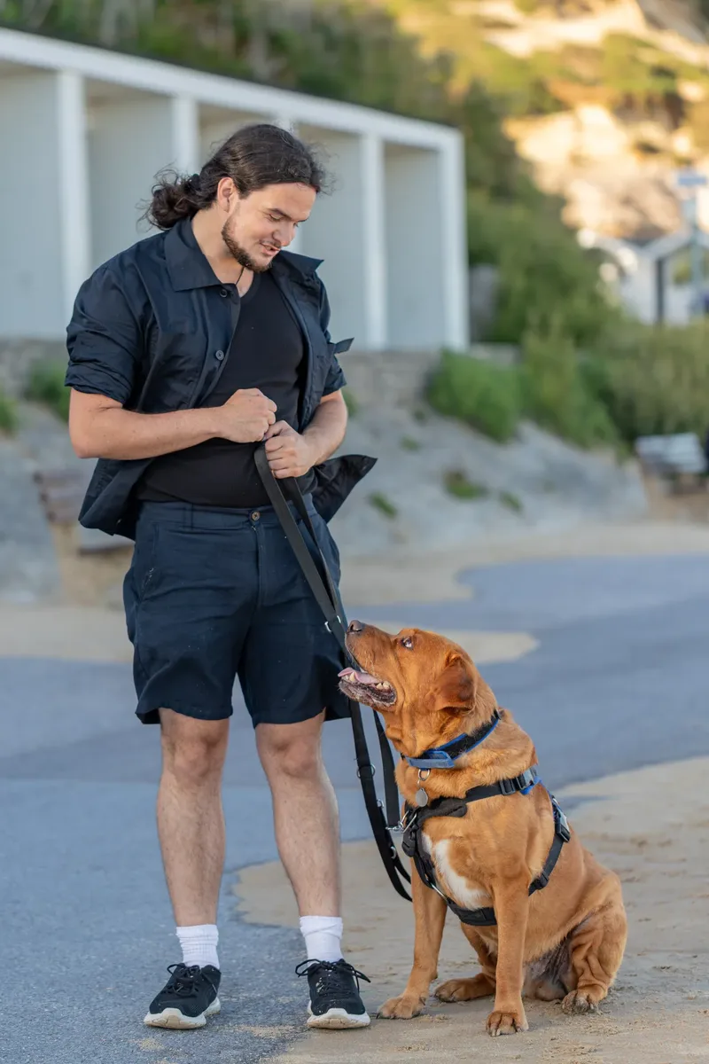 Dorset Dog Trainer – Branksome Chine (22 of 52)