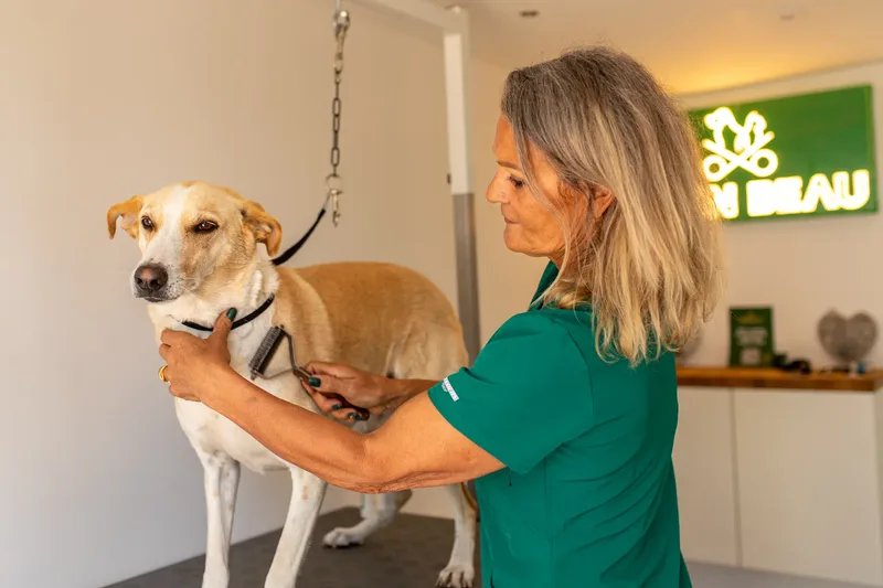 Eden Beau Dog Grooming Boutique (14 of 24)