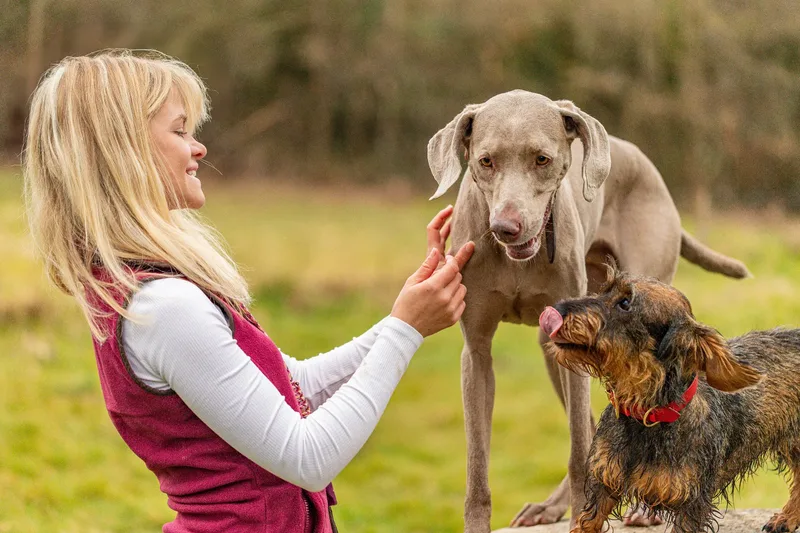 Wimborne Walkies (12 of 24)