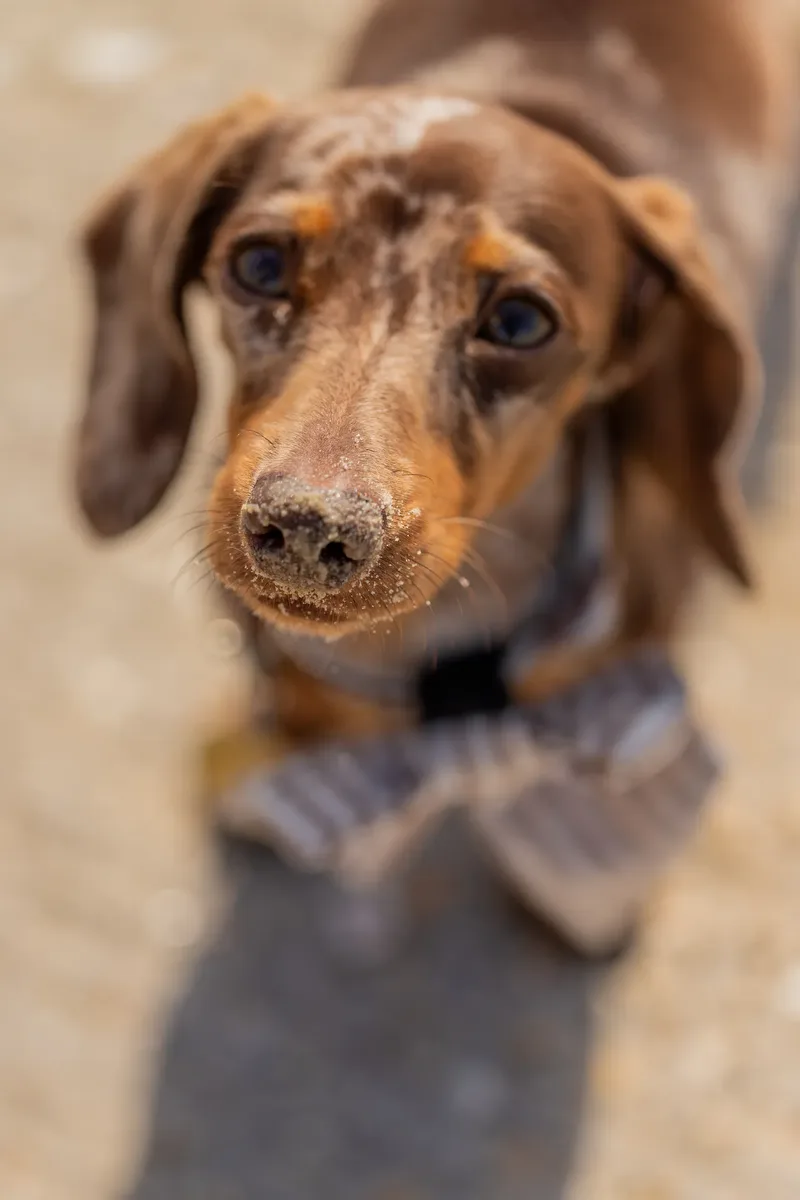 Margot at the beach (29 of 45)