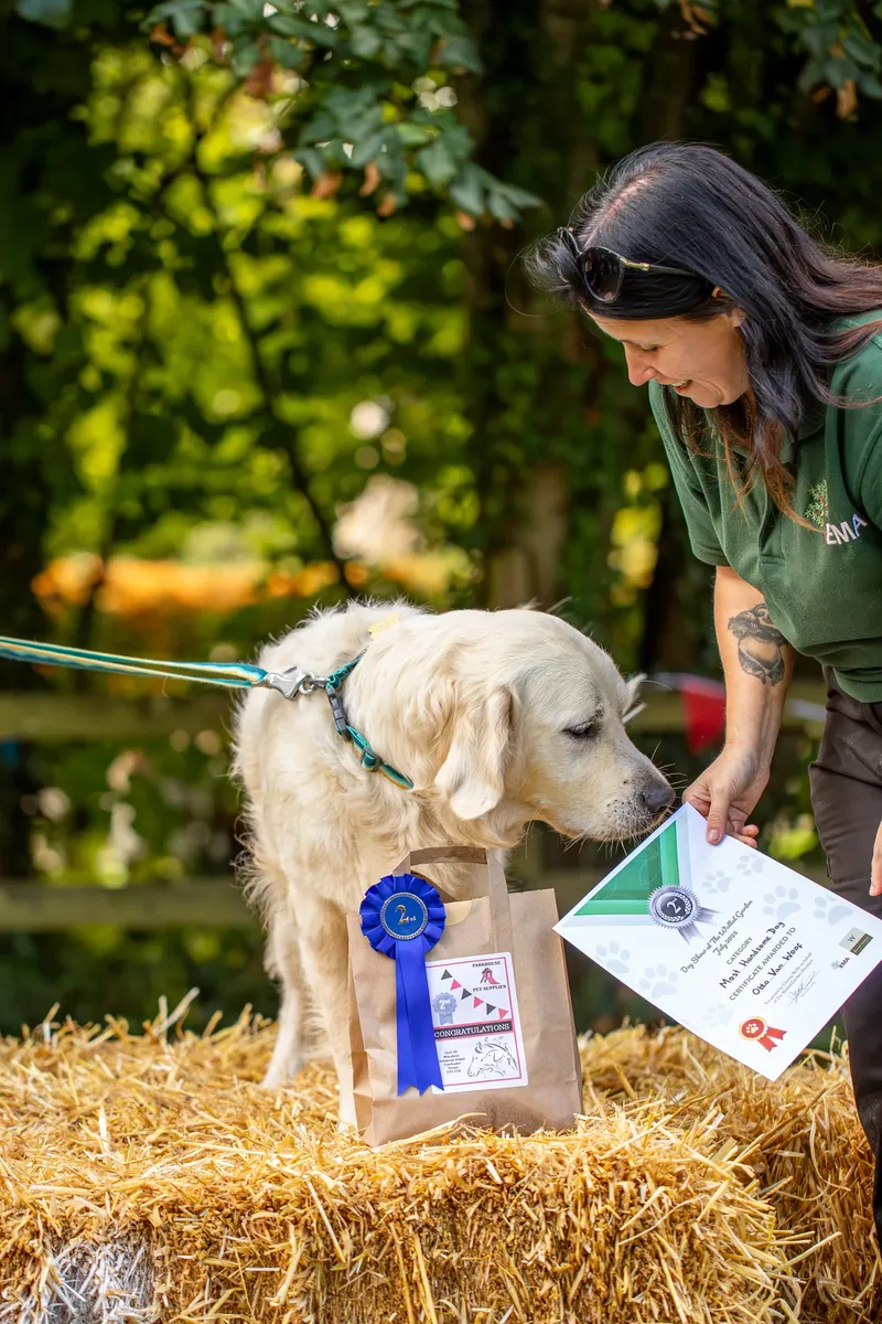 The Walled Garden Moreton – Dog show ceremony (5 of 24)