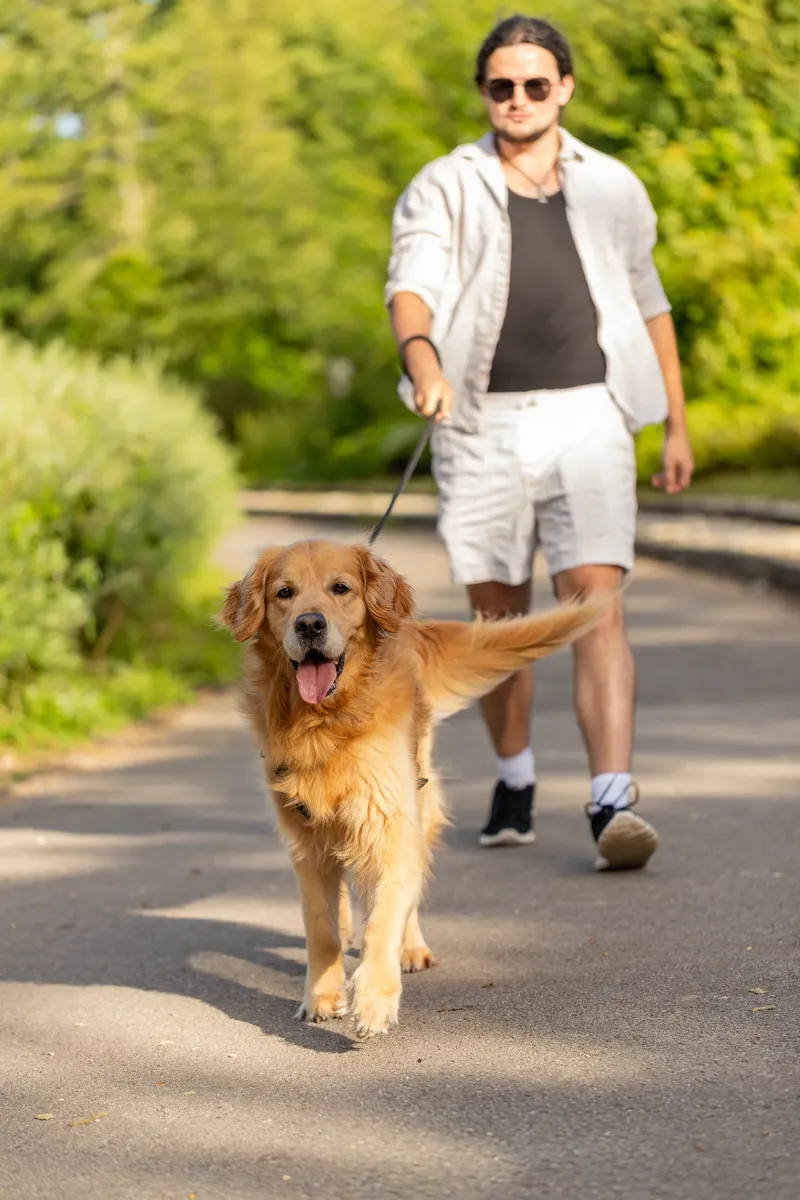 Dorset Dog Trainer – Poole Park (1 of 59)