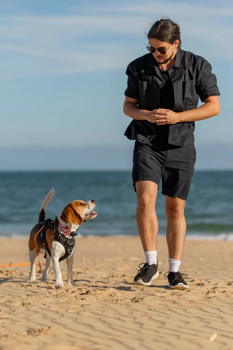 Dorset Dog Trainer – Branksome Chine (8 of 52)