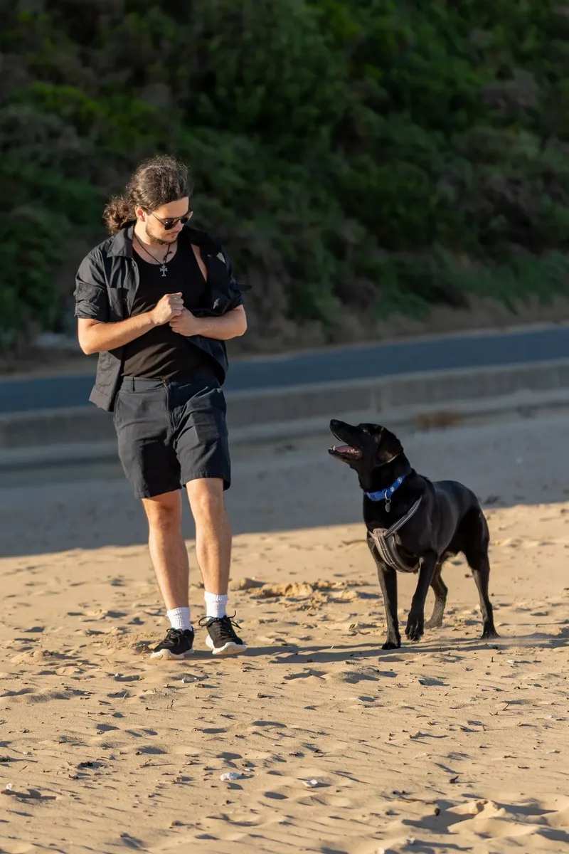 Dorset Dog Trainer – Branksome Chine (46 of 52)