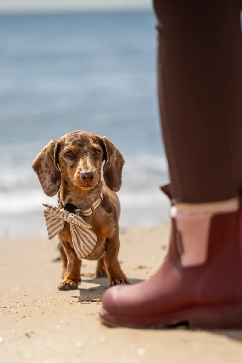 Margot at the beach (12 of 45)