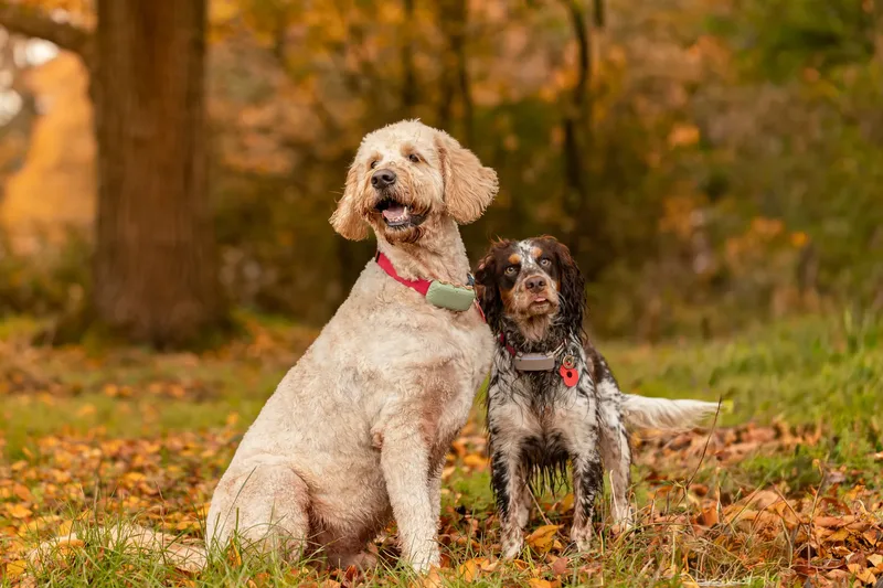 Dudley & Neville (1 of 24)