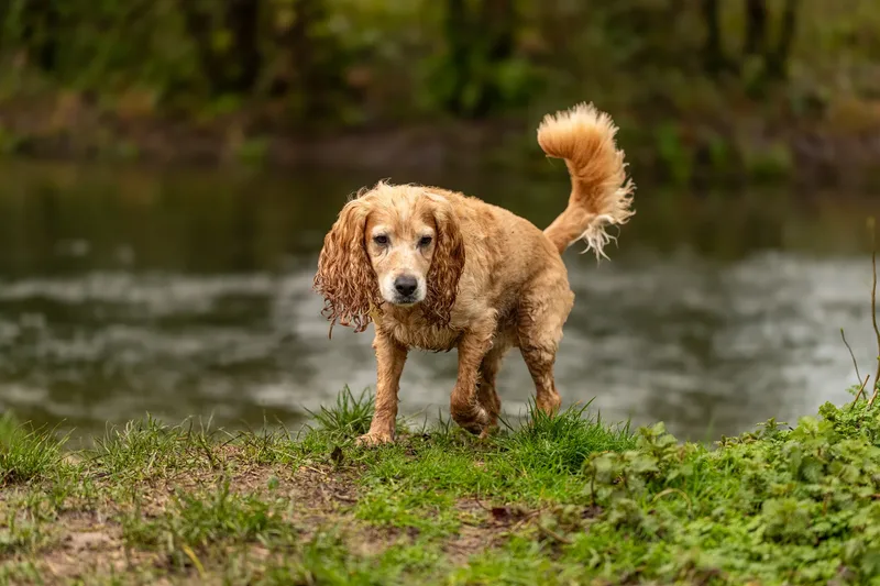 Max, Alfie & Friends (21 of 22)