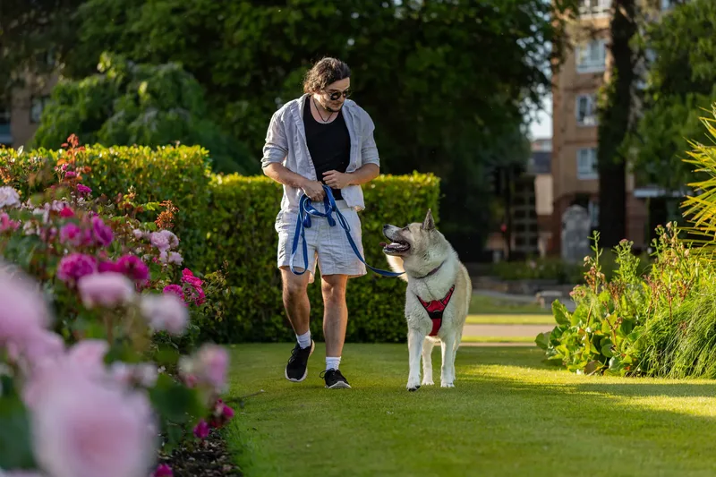 Dorset Dog Trainer – Poole Park (24 of 59)