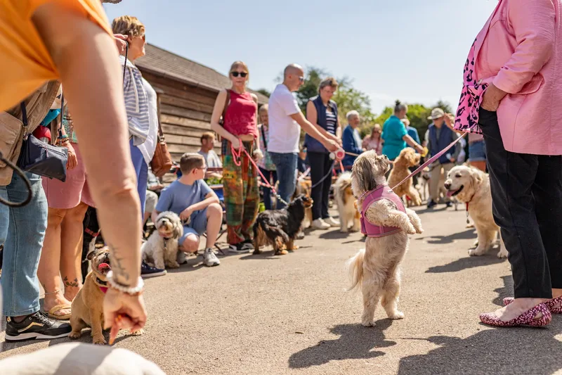 Sunshine, Smiles & Wagging Tails at Cherry Tree Nurseries (19 of 24)