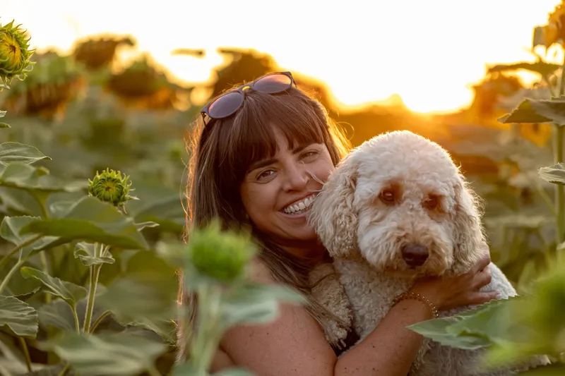 Arlo in Sunflowers