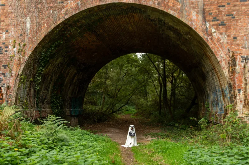 Karma the Rottie’s Halloween Shoot in Corfe Mullen (6 of 24)
