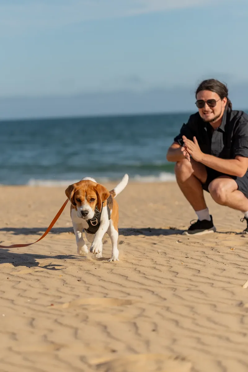 Dorset Dog Trainer – Branksome Chine (4 of 52)