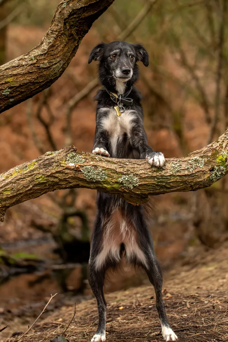 Olive (21 of 43)