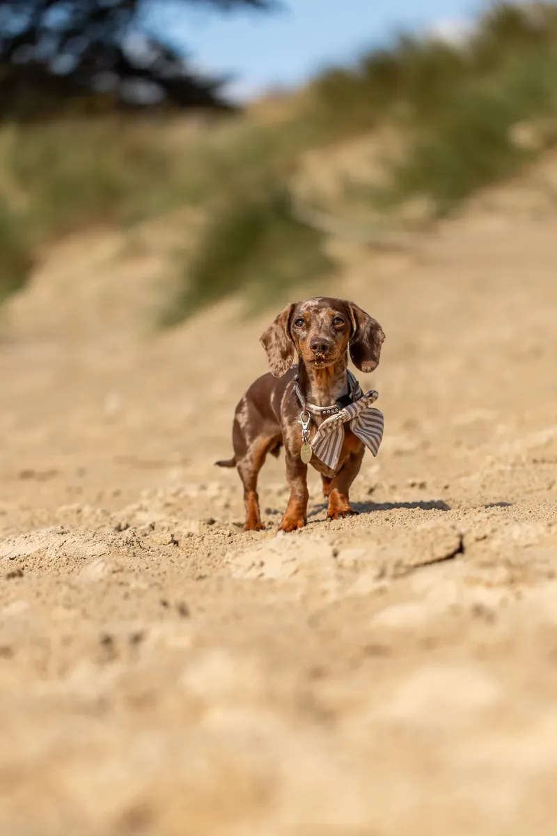 Margot at the beach (30 of 45)