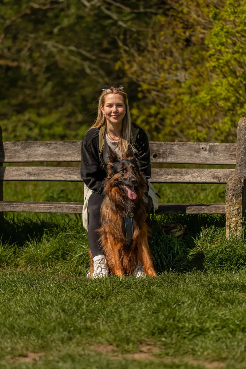 Tora the german shepherd (11 of 28)