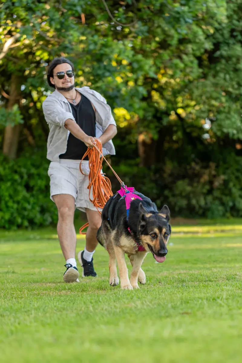 Dorset Dog Trainer – Poole Park (37 of 59)