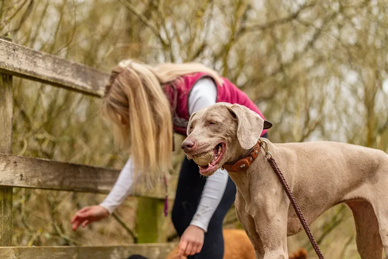Wimborne Walkies (8 of 24)